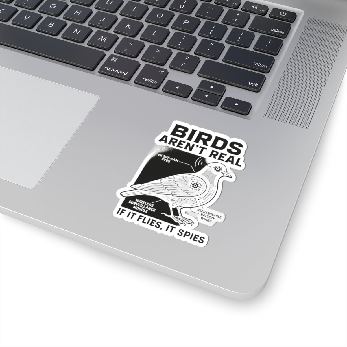 Funny conspiracy birds are not real meme sticker on a laptop showing quirky designs and bold text