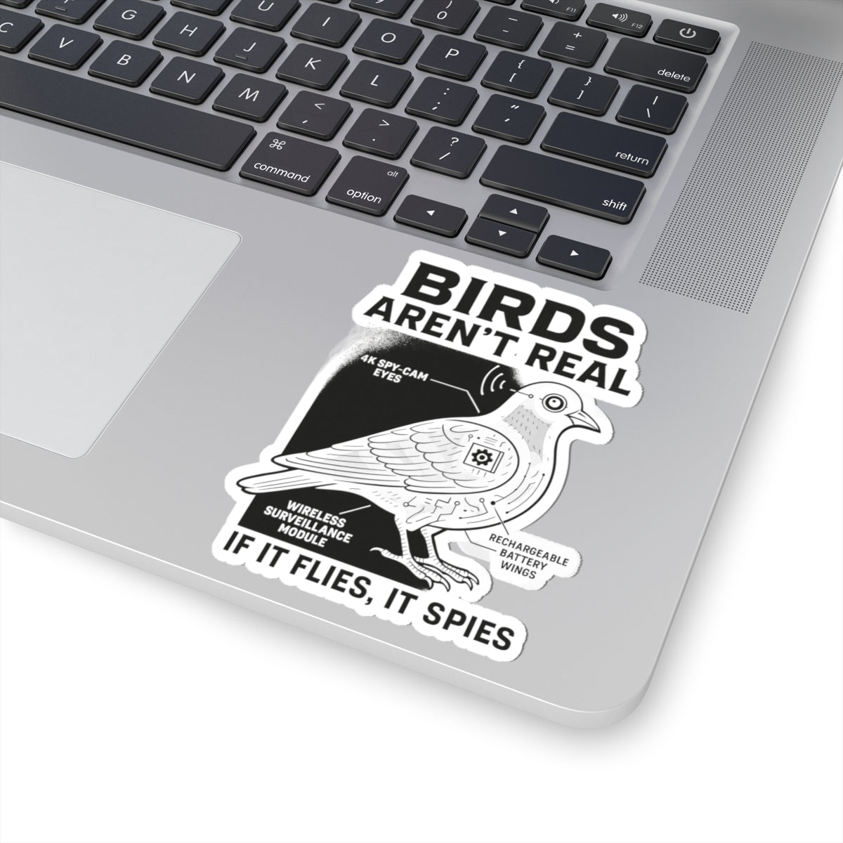 Funny conspiracy birds are not real meme sticker on a laptop showing a cartoon bird design