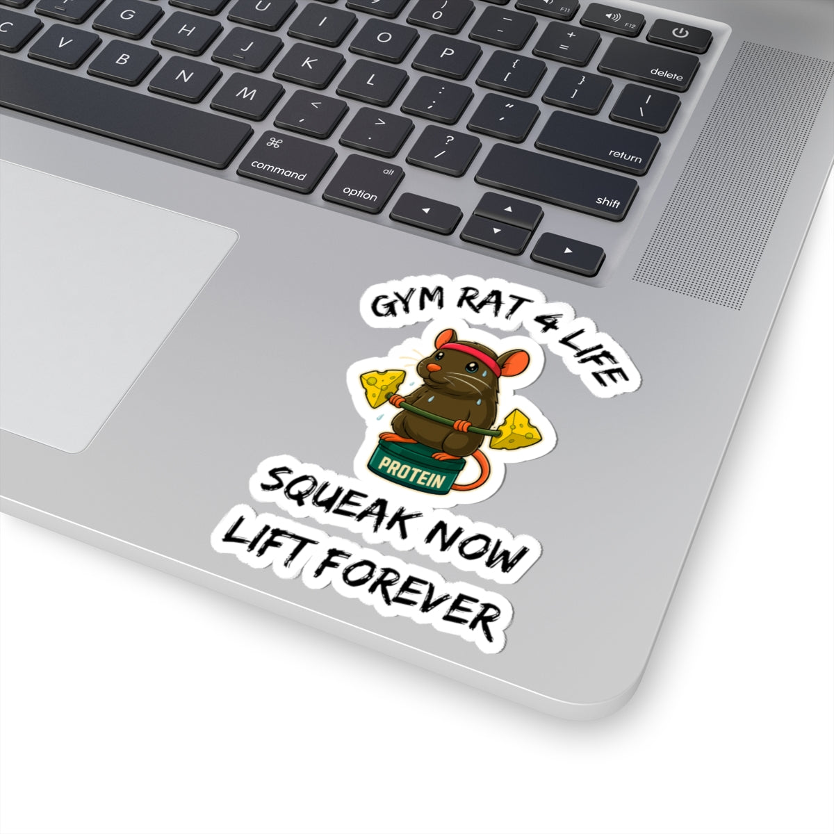 Printify gym rat stickers featuring a cartoon weightlifting rat on a protein jar shown as laptop decal